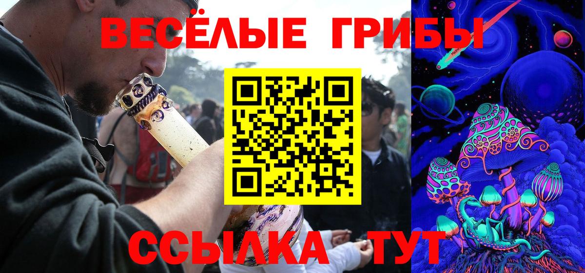 Галлюциногенные грибы Magic Shrooms  Псилоцибиновые грибы Psilocybe  Вход с VPN  Нарткала 