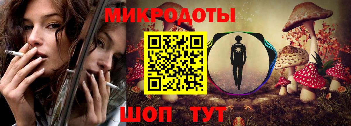 Псилоцибиновые грибы Psilocybe Нарткала